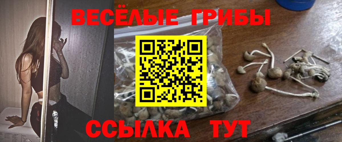 Галлюциногенные грибы Magic Shrooms Киров