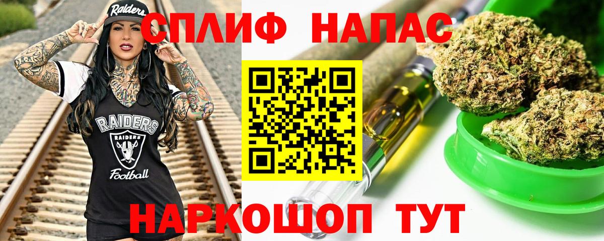 Бошки Шишки план Киров